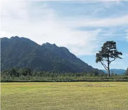  ?? JADA YUAN/THE NEW YORK TIMES ?? The view from Campground El Vulcan in Parque Pumalin in Chile.