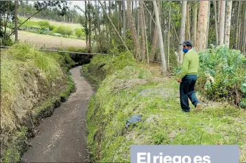  ?? Glenda Giacometti / El comercio ?? • Con la acequia Rumichaca Bellavista se riegan los cultivos de Salcedo y Pujilí.