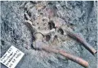  ?? ?? Раскопки у древнеримс­кого города Геркуланум привели к находке останков мужчины, погибшего под пеплом Везувия.