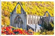  ??  ?? ‘A PLEASING RETREAT’
A view of Symonds Yat and the Wye valley, main; Tintern Abbey, above; a peregrine falcon, below