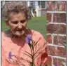  ??  ?? Janie Butler with the Mexican petunias that overran her flowerbed.