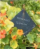  ??  ?? A home-made slate tile plant label is suspended from an iron hook among sunny nasturtium­s (left), A trug of freshly picked vegetables and flowers from the kitchen garden (right).