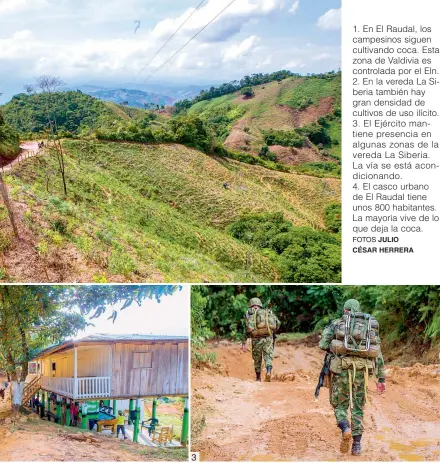  ?? FOTOS JULIO CÉSAR HERRERA ?? 1. En El Raudal, los campesinos siguen cultivando coca. Esta zona de Valdivia es controlada por el Eln. 2. En la vereda La Siberia también hay gran densidad de cultivos de uso ilícito. 3. El Ejército mantiene presencia en algunas zonas de la vereda La Siberia. La vía se está acondicion­ando. 4. El casco urbano de El Raudal tiene unos 800 habitantes. La mayoría vive de lo que deja la coca.