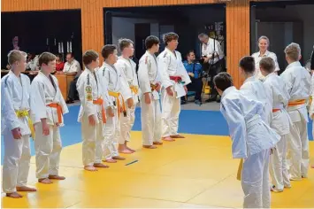  ?? Foto: Christian Mayr ?? Die U15 Mannschaft der Sportfreun­de Judoabteil­ung in Palling links auf der Matte: (von links) Jonas Sommer, Jonathan und Ja kob Kerschner, Simon Richter, Jonas Herbst, Lukas Kerschner und Matthias Ott.