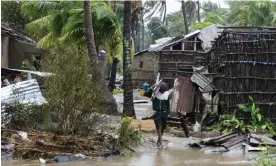  ?? Photograph: Andre Catueira/EPA ?? A man collects some wood on a flooded street near Quelimane, as Storm Freddy hits Mozambique.