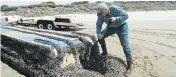  ?? RUSS LEWIS / THE ASSOCIATED PRESS ?? Researcher John Chapman inspects a Japanese vessel that washed ashore on Long Beach, Wash., carrying numerous sea creatures with it.