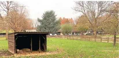  ?? FOTO: POGO ?? Die noch verblieben­en Streichelz­oo-Schafe haben sich am Montag in ihren Unterstand verkrochen. Der Fördervere­in beklagt, dass die Tiere seit einem halben Jahr auf derselben Wiese seien. Dies sei ihrer Gesundheit abträglich.