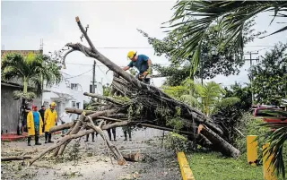  ?? NATALIA PESCADOR GETTY IMAGES ?? Workers cut up a fallen tree after Hurricane Delta caused damage in Cozumel, Mexico, on Wednesday. The hurricane is expected to hit the coast of Louisiana on Friday evening.
