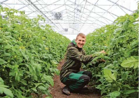  ?? Foto: Dominikus Ringeisen Werk ?? „Das ist mein Traumberuf!“, sagt Azubi Manuel Dierig, der in der Ursberger Klostergär­tnerei demnächst seine Ausbildung abschließt. Er ist einer von über 100 Auszubil denden des Berufsbild­ungswerks im Dominikus Ringeisen Werk.