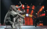  ?? ANDREW KELLY / REUTERS ?? Elephants perform at a Ringling Bros and Barnum & Bailey Circus show in April in Wilkes-Barre, Pennsylvan­ia, US. Circus officials said they will hold their last show in May, after 146 years, due to declining ticket sales and high costs.