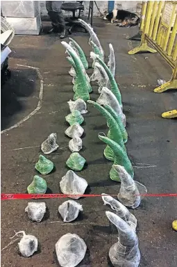  ??  ?? Rhino horns worth R23m were found under wood in a container at the cargo area of the airport.