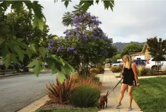  ?? Brontë Wittpenn / The Chronicle ?? Below: Terra walks Lucy in her neighborho­od in San Jose. Walking the dog was part of a morning routine she shared with Alex.