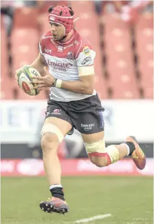  ?? | BackpagePi­x ?? WARREN Whiteley is doing everything that he can get back on the field for the Lions so he can prove to Rassie Erasmus that he is fit enough to take to the Rugby World Cup in Japan later this year.