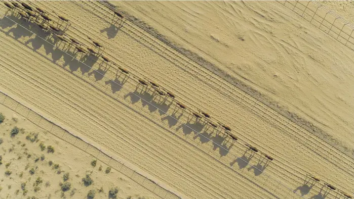  ?? Photos: National Geographic ?? Above and left, stills from ‘The Emirates From Above’, a documentar­y that forms part of the ‘From Above’ TV series exploring countries from an aerial vantage point