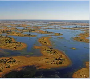  ??  ?? Okavango Delta: aerial view from a small helicopter