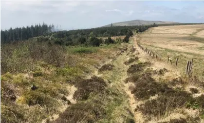  ?? Photograph: Mark Merrony ?? Mark Merrony, an archaeolog­ist and Roman specialist, said it was extraordin­ary that the road had been missed until now.