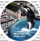  ??  ?? ORCA