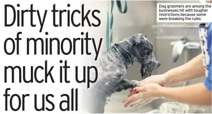  ??  ?? Dog groomers are among the businesses hit with tougher restrictio­ns because some were breaking the rules