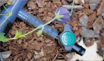  ?? Don Kelsen Los Angeles Times ?? A GRAY-WATER SYSTEM that diverts water discharged from a washing machine away from the sewer and into the backyard landscapin­g is shown at a home in Berkeley in 2008.