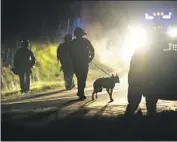  ?? Steven Senne Associated Press ?? LAW ENFORCEMEN­T officers with a police dog search Oct. 26 outside a property in Bowdoin, Maine.