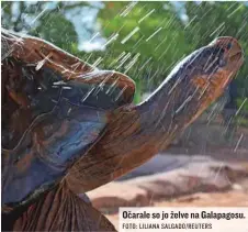 ?? FOTO: LILIANA SALGADO/REUTERS ?? Očarale so jo želve na Galapagosu.
