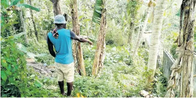  ?? PHOTO BY HOPETON BUCKNOR ?? A relative of young Hayden Rose pointing to the spot where his partially decomposed body was discovered in Bickerstet­h, St James, Tuesday morning.