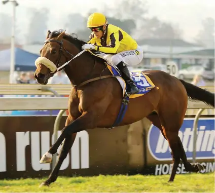  ??  ?? PIERE'S RIDE. Last Winter will be Piere Strydom's mount in today's R5-million Sun Met over 2000m at Kenilworth Racecourse.