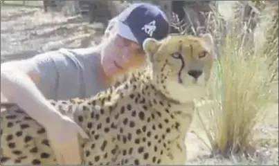  ??  ?? Damian Aspinall joined cheetahs Saba and Nairo on their trip to Africa