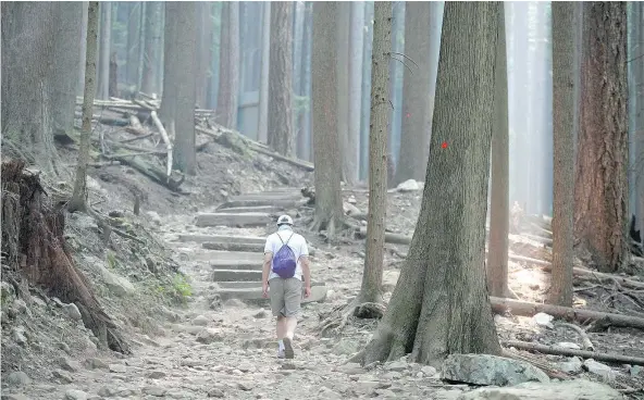  ?? JASON PAYNE/PNG ?? Up to 400,000 people will hike the Grouse Grind this year, which would produce millions in revenue for the resort.