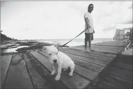  ?? MOISES CASTILLO/ ASSOCIATED PRESS ?? John McAfee's dog, Soltan, and a security guard stand in front of the entrance to John McAfee’s home. McAfee has said he is in hiding, changing locations and telephones to stay ahead of a Belize police unit he says wants to kill him.