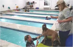  ??  ?? Seeman, right, offers a treat to Daphne during a break in the dog’s swim session with coach Kelly Coupe. Daphne, two, is blind.