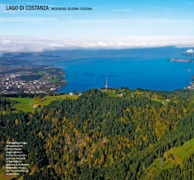  ??  ?? 1 | Bregenz e il Lagodi Costanza dal Monte Pfänder, raggiungib­ile in funivia. 2| Le case a graticcio nel cuore di San Gallo, in Svizzera. 3 | Il VineumBode­nsee, museo del vino a Meersburg, in Germania.