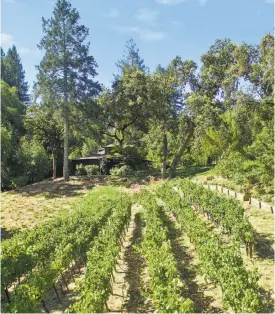  ?? Open Homes Photograph­y ?? Above: The kitchen has profession­al appliances and a center island with built-in storage. Left: A hobby vineyard of Syrah grapes sprouts beside the Glen Ellen home. Below: The home features a pool, a pool house and an an outdoor kitchen.