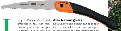  ?? BAHCO. ?? Cette scie à élaguer pliable, destinée aux bois secs et verts, dispose d’une lame trempée de 19 cm, d’une poignée bimatière confortabl­e et d’un système de blocage/déblocage. Chaque troisième dent de sa lame est plus courte pour évacuer la sciure. Scie repliable 396-HP. Prix indicatif : 30,90 € TTC.