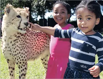  ?? PICTURE: JACQUES NAUDE ?? In celebratio­n of National Science Week, sisters Iminami, 4, and Elenkosi Ngubane, 5, had an opportunit­y to see stuffed wild animals at the Durban Natural Science Museum’s mobile exhibition at the Botanic Gardens yesterday. The Go Wild mobile museum...