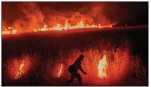  ?? (AP/Noah Berger) ?? A firefighte­r works last June to stop the spread of flames near Winters, Calif. As fire season approaches, California is even drier this year than last year.