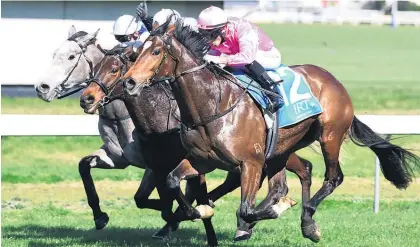  ?? Picture / NZ Racing Desk ?? Highlad (outer) will contest Saturday’s Waikato Guineas at Te Rapa.