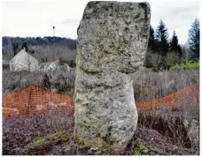  ??  ?? Découvert dans le hameau de Gaillonnet, le menhir est profondéme­nt fiché dans le sol.