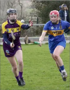  ??  ?? Mag Byrne of Wexford in action against Tipperary’s Aoife McGrath.