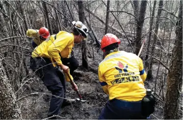  ??  ?? A CREW of 100 firefighte­rs and a nine-person management team from the Department of Forestry, Fisheries and the Environmen­t’s Working on Fire programme is expected to arrive in South Africa today today, after a successful deployment to Manitoba, Canada.