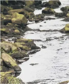  ??  ?? Walking in Marsden Moor (photo: National Trust)