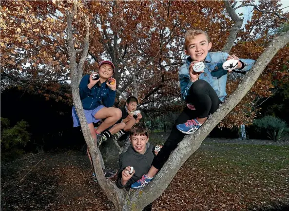  ?? PHOTO: SCOTT HAMMOND/STUFF ?? Police were called to investigat­e after shouts were heard, from left, Jazmine Moon 10, Tyson Moon 8, Zeck Deacon 14, and Arwen Deacon 11 while hiding rocks.