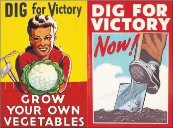  ??  ?? A campaign to grow vegetables was launched to combat food shortages