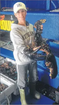  ?? SUBMITTED PHOTO ?? Cindy LeBlanc of Sydney Mines is shown holding the 13.5 pound lobster she caught during the recent lobster fishing season.