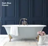  ??  ?? Dark Blue Panels