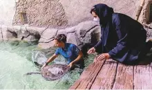  ??  ?? Maitha Hameli and Beatriz Maquieira with a rescued sea turtle at National Aquarium’s rehabilita­tion facility.