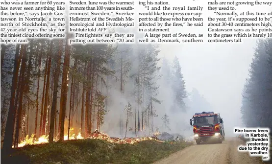  ?? AFP ?? Fire burns trees in Karbole, Sweden yesterday due to the dry weather.