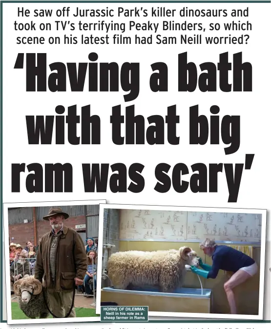  ??  ?? HORNS OF DILEMMA: Neill in his role as a sheep farmer in Rams