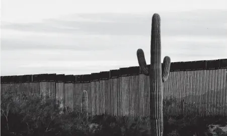  ?? Sandy Huffaker / AFP via Getty Images ?? The Trump administra­tion is expected to announce another diversion of funds to help pay for constructi­on of a wall on the southern border, the president’s signature campaign promise, in the coming months.