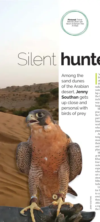  ??  ?? Pictured: Trainer Mitchell Olivier with falcon at Banyan Tree
Al Wadi